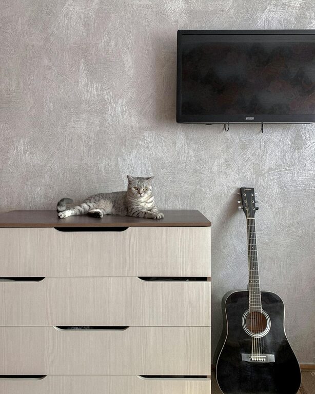 How to Set Up a Cozy, Pet-Friendly Home Corner